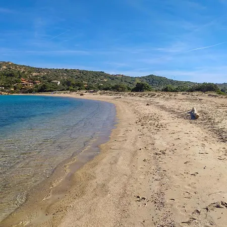 Ginepri