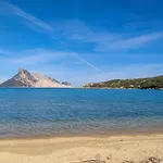 Ginepri *