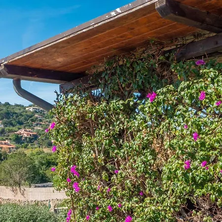 Ginepri 아파트 산테오도로